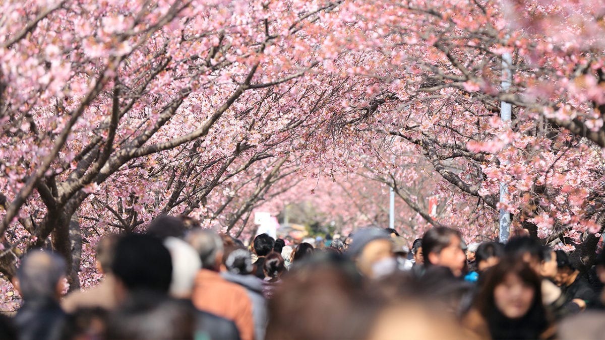 Spring Break Boredom-Busters: 10 Staycation Activities for your Family